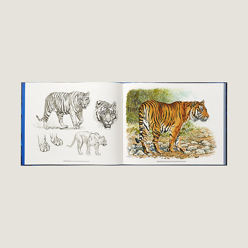エルメス Ferocious and Fragile book アニマルブック Ferocious and Fragile
